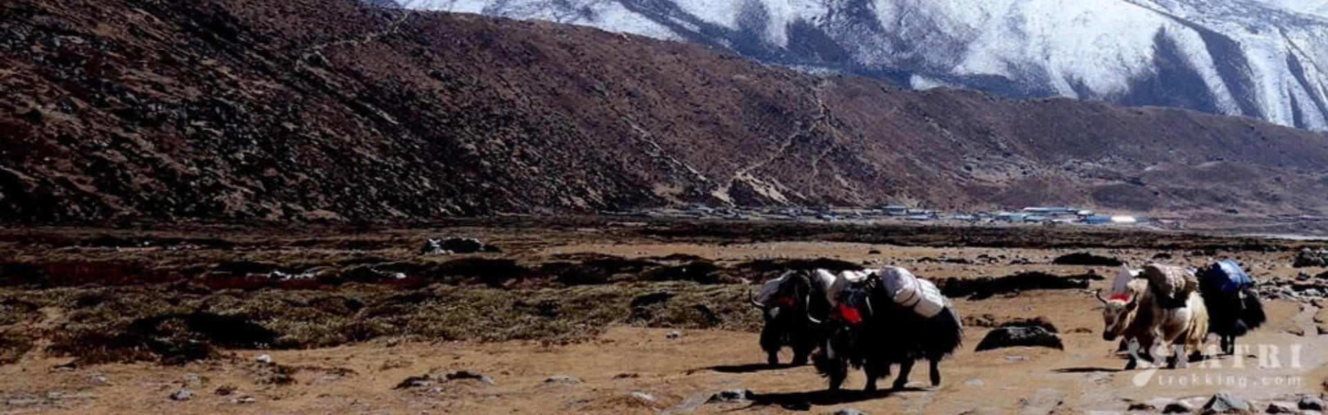 Challenging high-altitude trekking routes in the Himalayas of Nepal