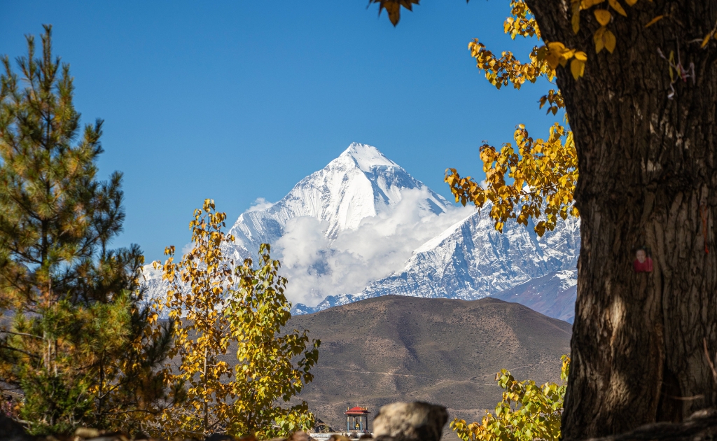 Dhaulagiri Circuit Trek through remote high-altitude Himalayan terrain