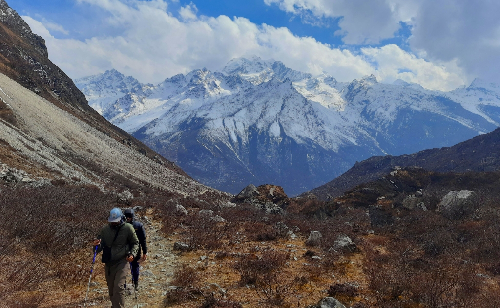 Lush green forests and misty mountains during the monsoon season in Langtang Valley, Nepal.