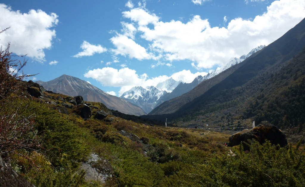 Langtang Valley Trek in spring with blooming rhododendron forests and clear Himalayan mountain views.
