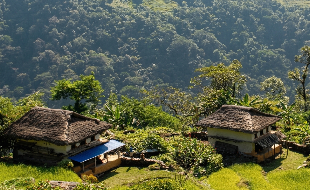 Beautiful Barun Valley landscape with rivers, alpine meadows, and diverse vegetation during Makalu trek