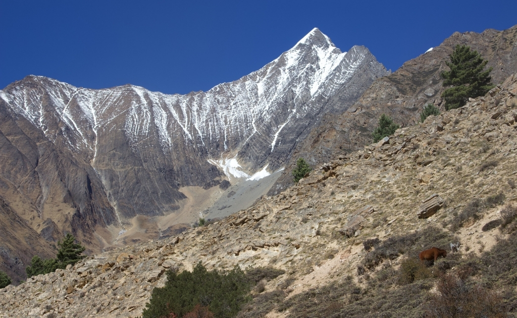 Trekkers hiking through the scenic trail leading to Shey Phoksundo Lake in Dolpo