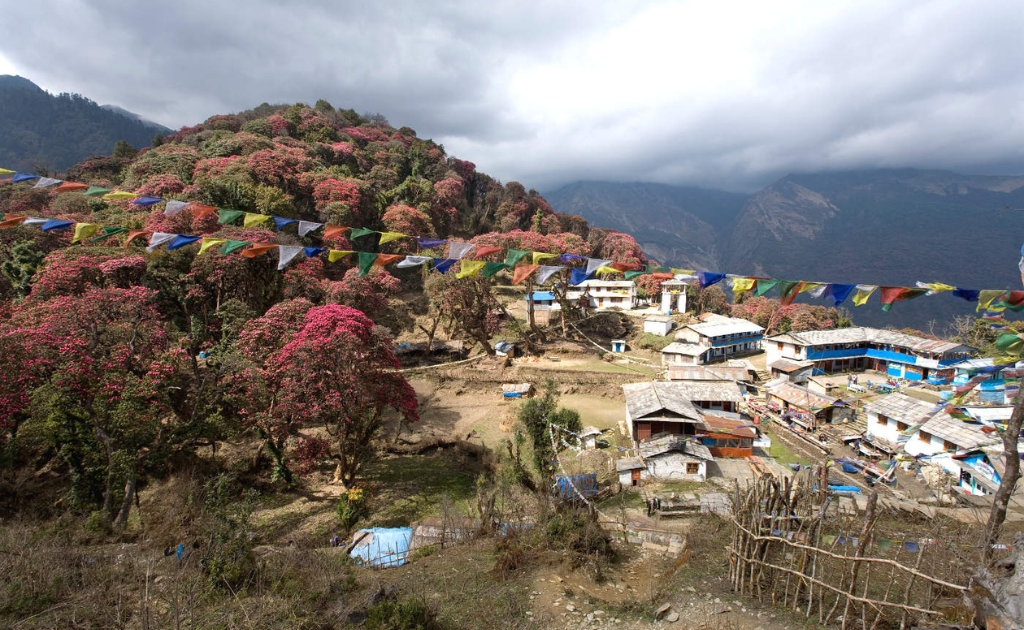 Traditional Gurung and Magar village along the Poon Hill Trek
