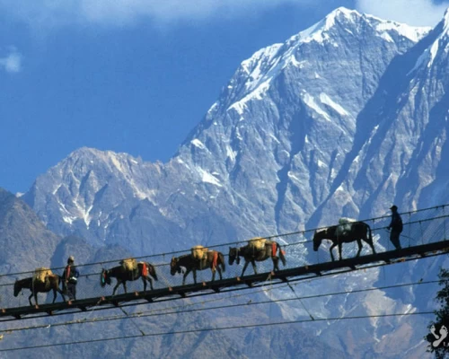 Annapurna Package Banner