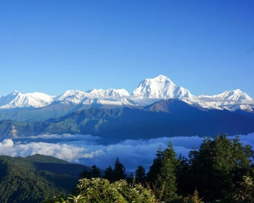 Ghorepani Poon Hill Trek