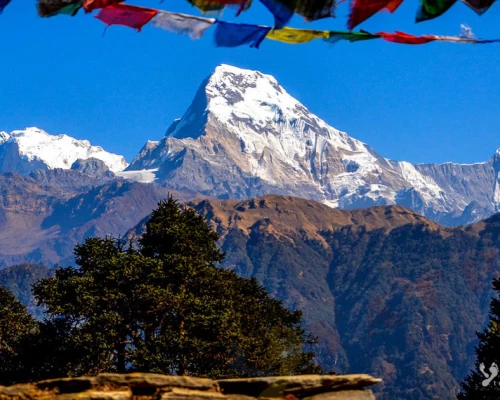 Gorepani And Annapurna Sout