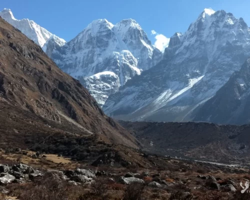 Janu Himal X