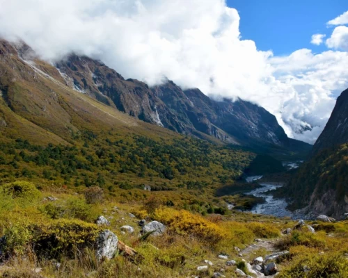 Kanchenjunga X