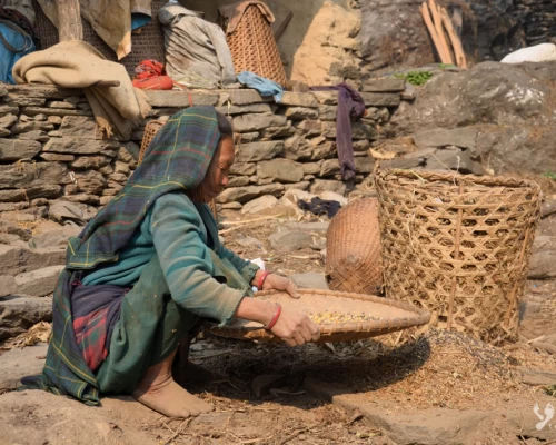 La Famme Local Vanne De Ses