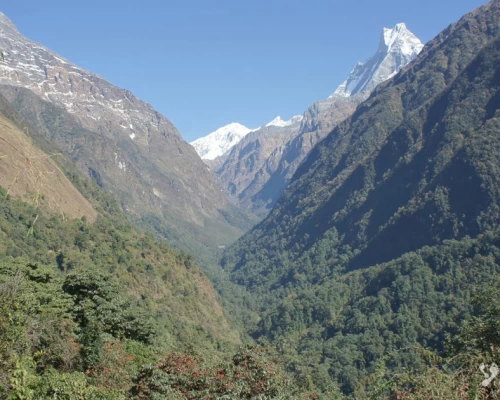 Machhapuchhare Peak X