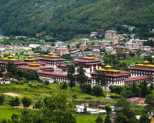 Thimpu Package Banner X 