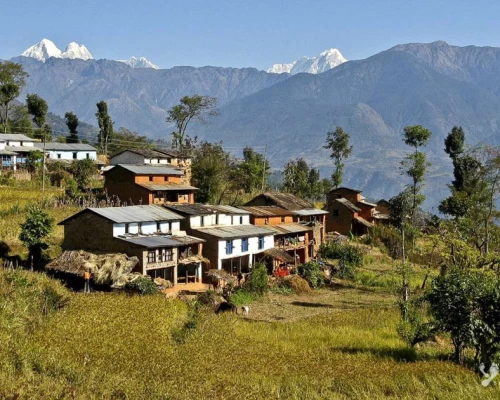 Village Local Au Mileu De C